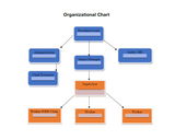 Policy - Company Responsibilities